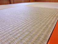 青表琉球畳-アップ画像