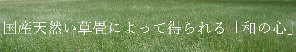 国産天然い草によって得られる「和の心」トップバナー