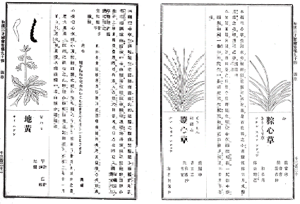 「い草が薬草だった」古文書画像