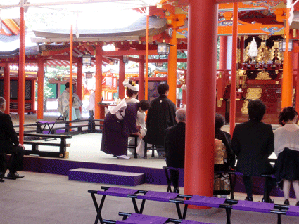 生田神社で結婚式画像