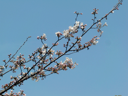 良い季節と天気の画像